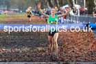 Senior Womens and Under-23s 2025 Liverpool Cross Challenge, Sefton Park, Saturday, November 22th. Photo: David T. Hewitson/Sports for All Pics